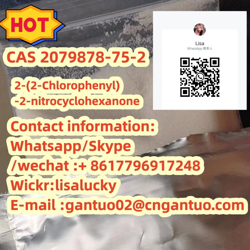 (2-Chlorophenyl)-2-nitrocyclohexanone CAS 2079878-75-2