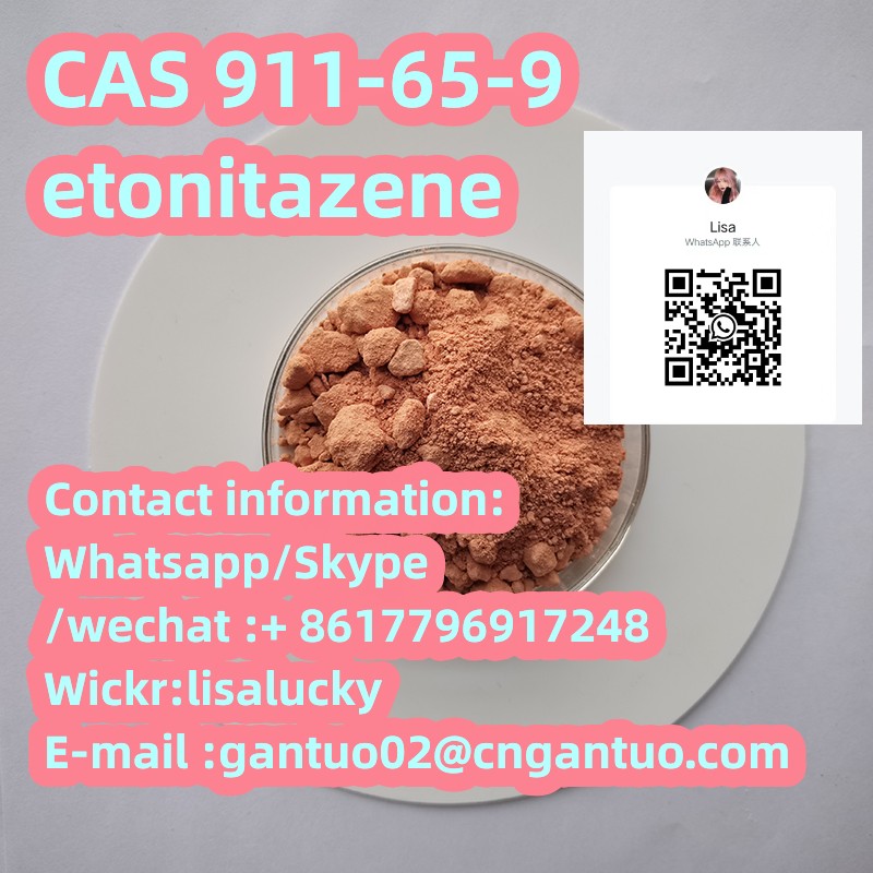 29.etonitazene CAS 911-65-9