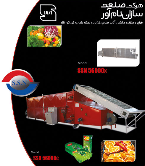 خشک کن کانتینیوس میوه جات و سبزیجات پیوسته نواری