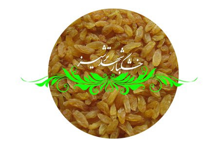 کشمش طلایی کاشمر