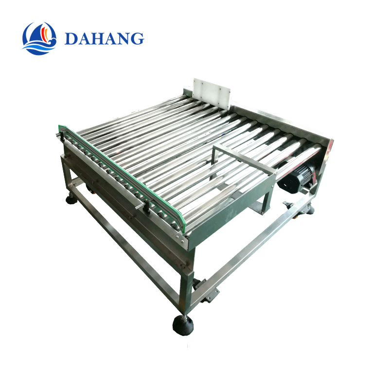 Roller conveyor