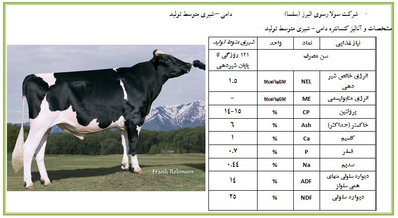 شیری متوسط تولید