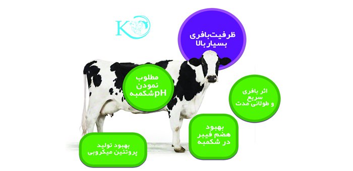 بافر تخصصی گاو شیری