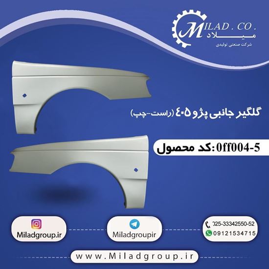 گلگیر جانبی پژو 405 (راست-چپ)