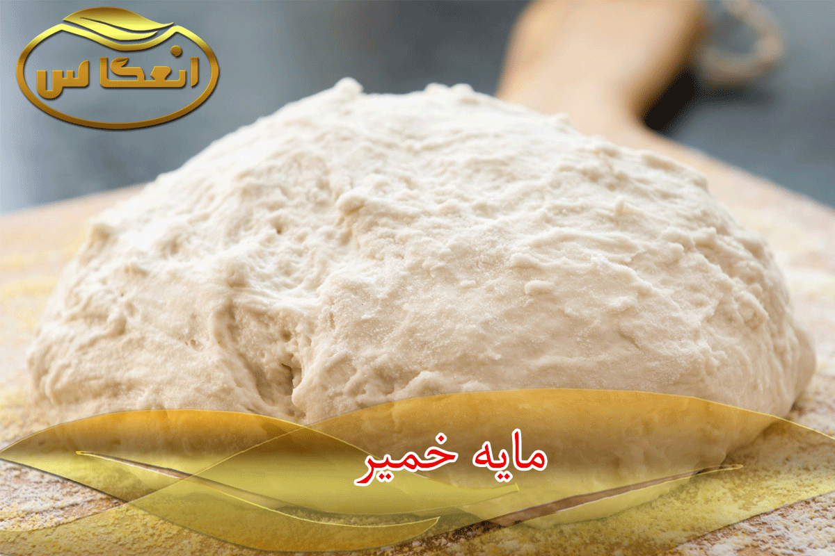 مایه خمیر