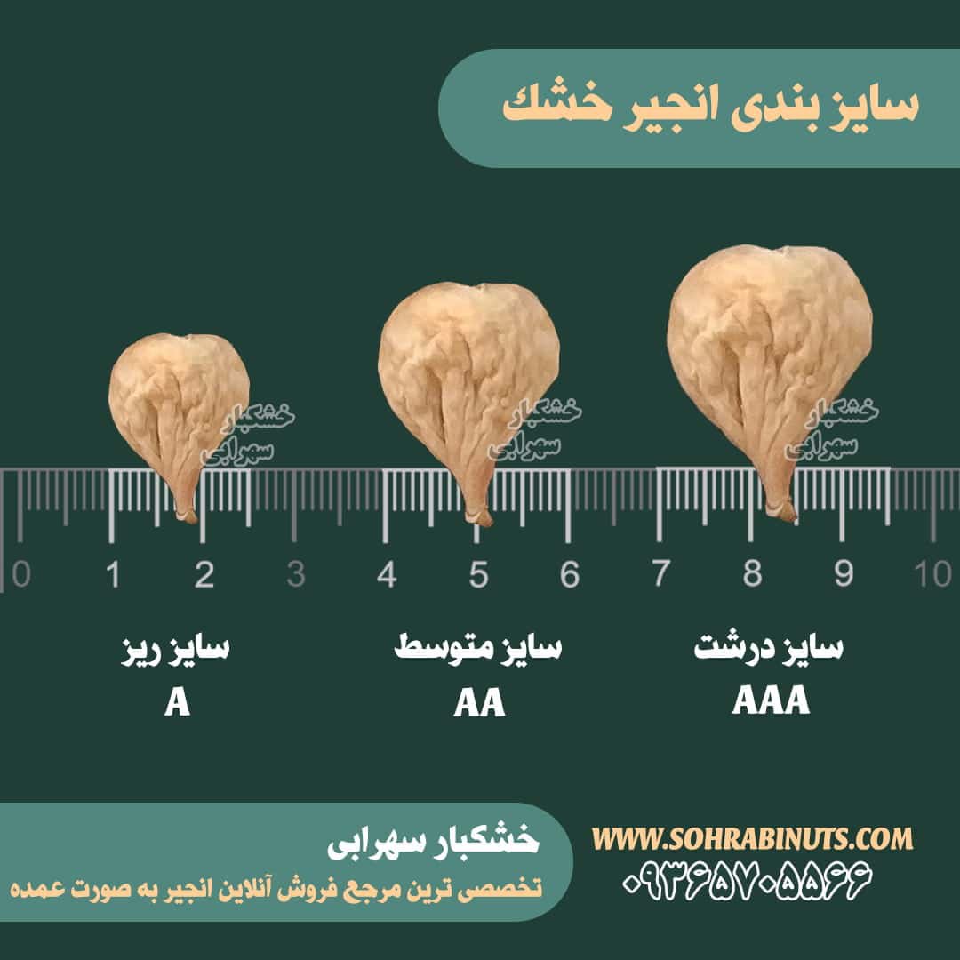 انجیر خشک استهبان