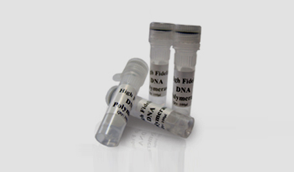 KBC HiFid DNA Polymerase