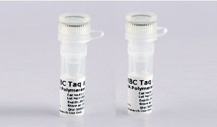 KBC Taq DNA Polymerase