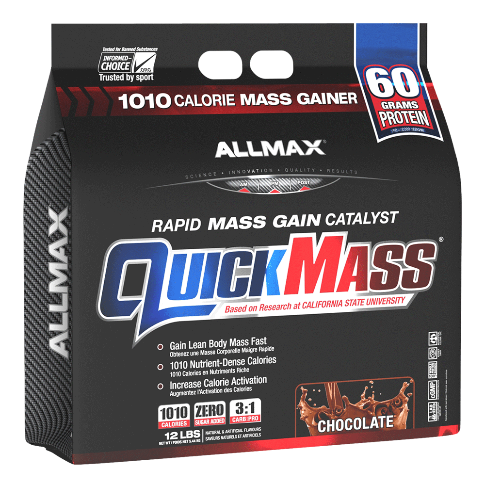 گینر کوئیک مس آل مکس | QUICK MASS ALLMAX