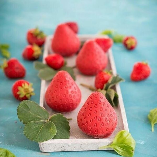 قالب سیلیکونی Fragola 30