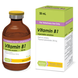 ویتامین ب1 | Vitamin B1