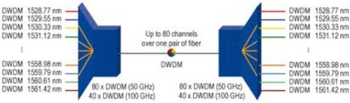 DWDM