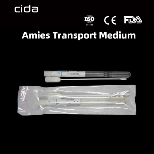 Amies Transport Media