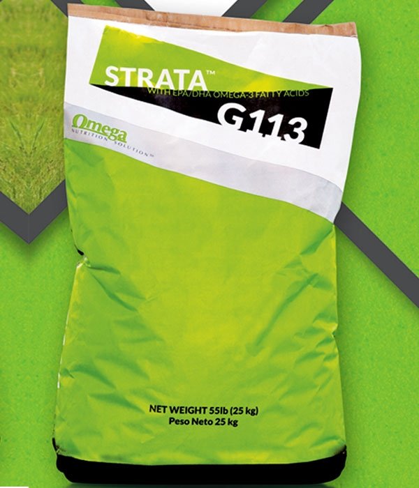 STRATA G113