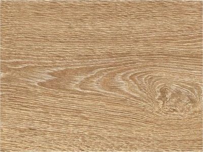 اینجنییریس اوک ، شیاردار/Ingeniarius Oak