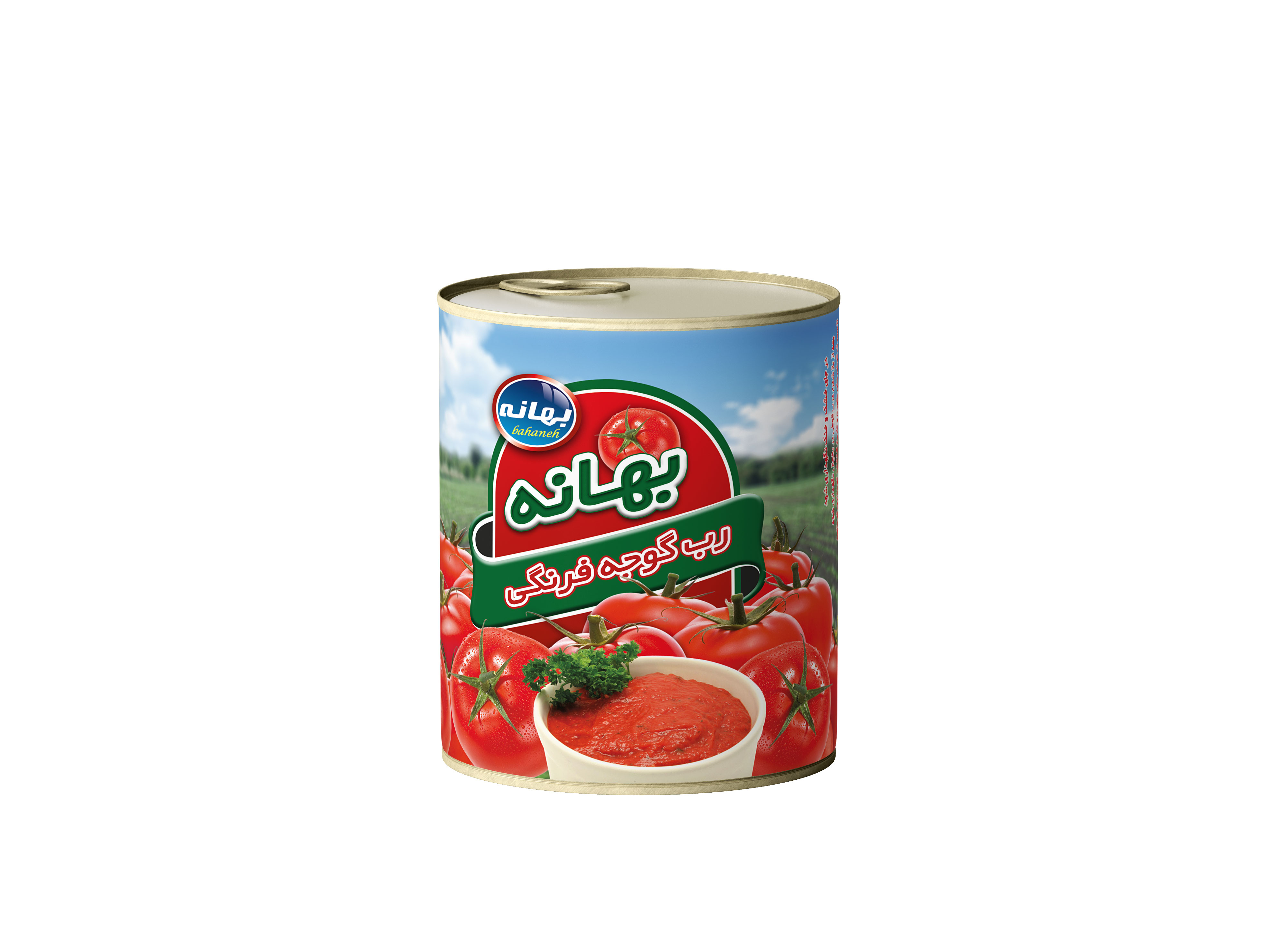 رب گوجه فرنگی 800 گرمی