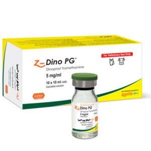 (زد) دینو پی جی | Z-Dino PG