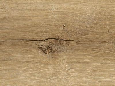 مارول اوک ، شیاردار/Marvel Oak