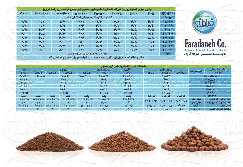 خوراک ماهی کپور معمولی