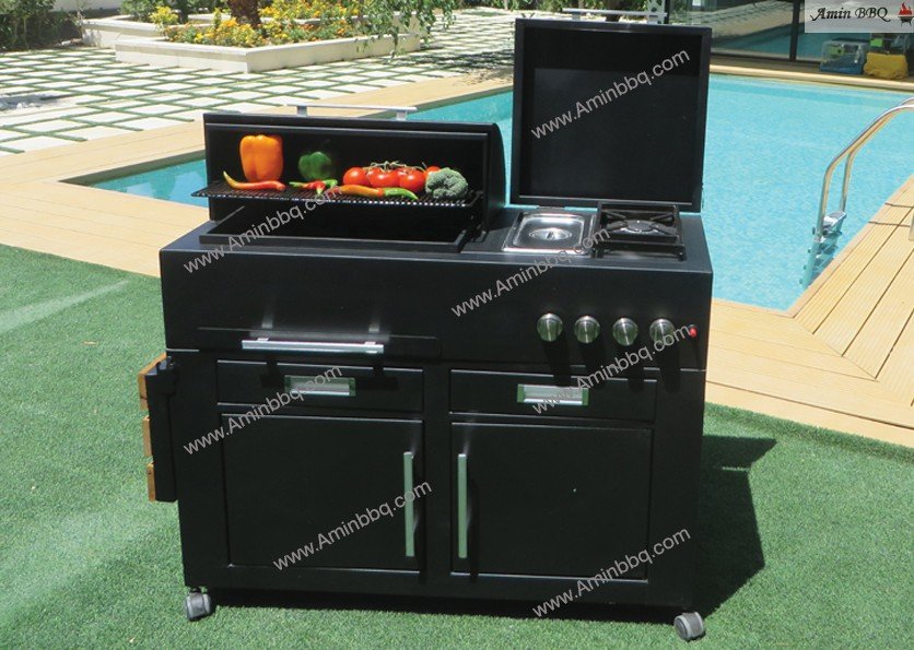 باربیکیو مدل AMINBBQ-BRC-110