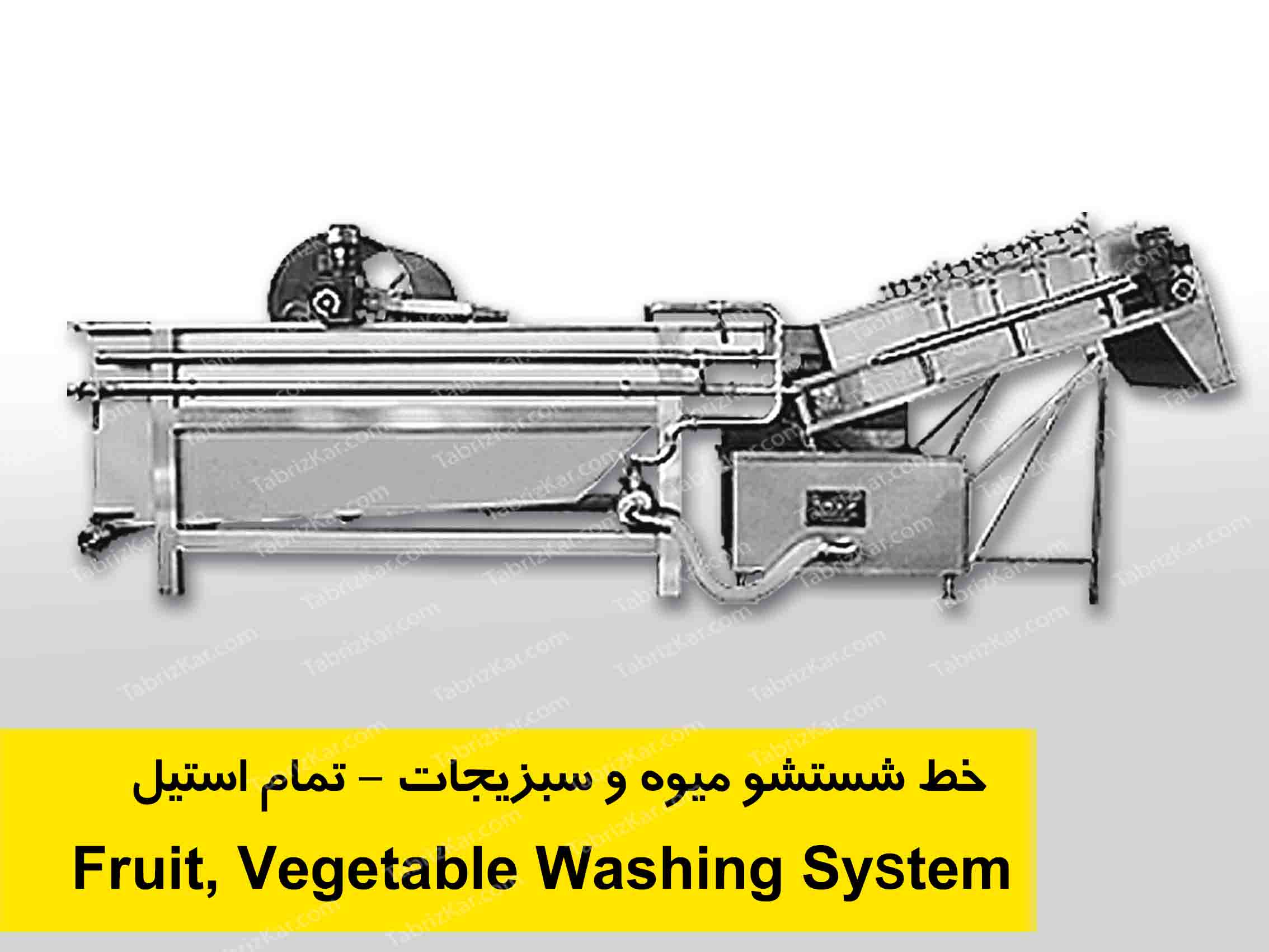 خط شستشو میوه و سبزیجات