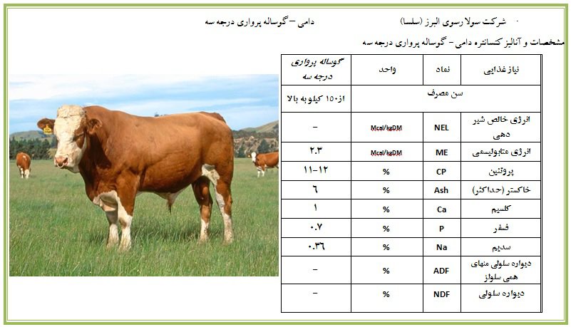 گوساله پرواری درجه سه