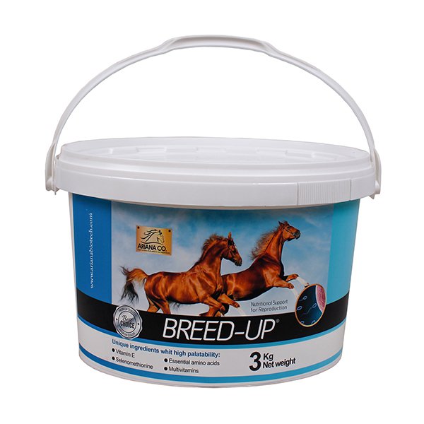 بهبود تولیدمثل (Breed-Up)