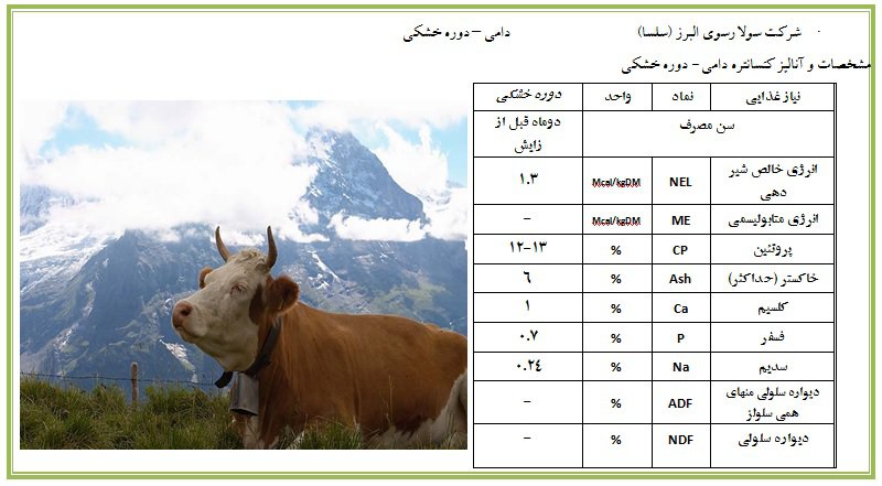 دوره خشکی