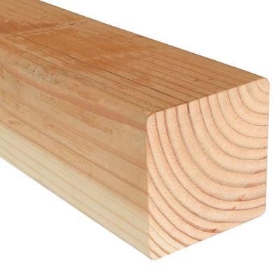 Douglas Fir- 100× 100