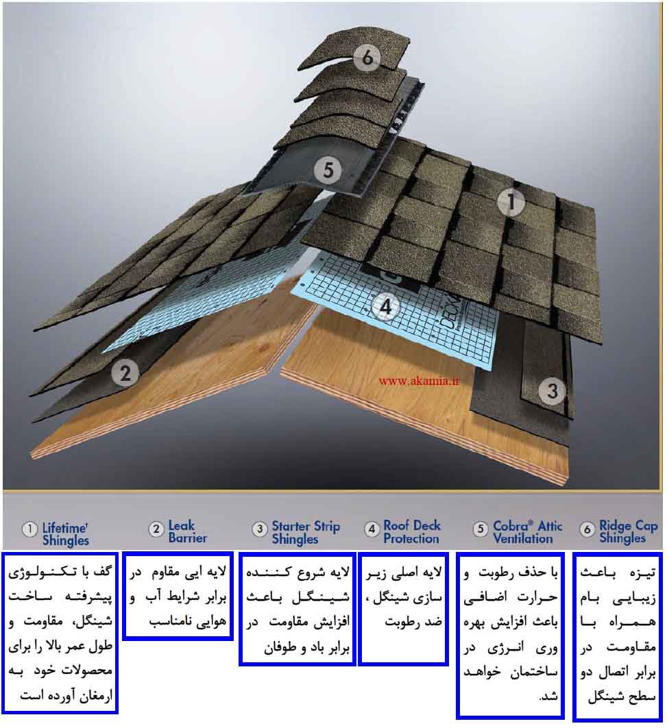 شینگل تیمبرلاین گف (GAF)