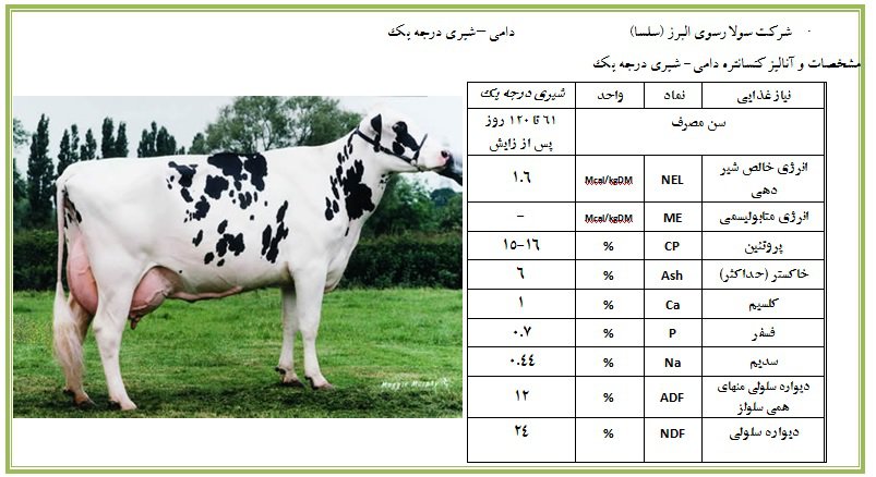 شیری درجه یک