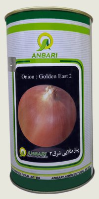 Eastern golden onion 2